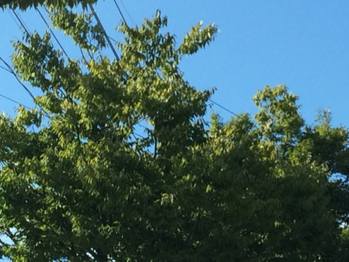 b0174284_08022040.jpg