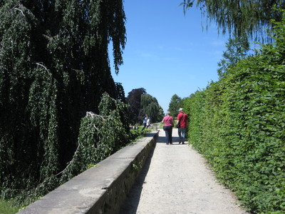 b0209886_11254650.jpg