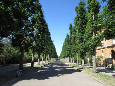 b0209886_13131480.jpg