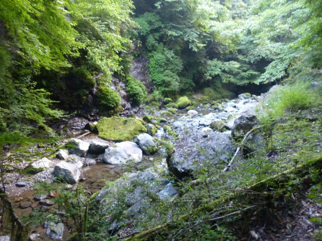 f0357487_0591328.jpg