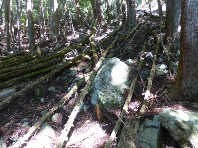 f0357487_1114178.jpg