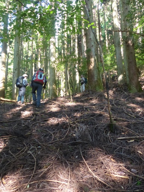 f0357487_113451.jpg