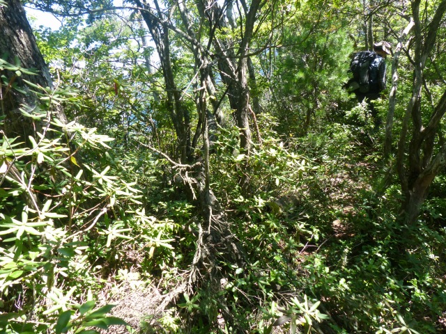 f0357487_1195533.jpg