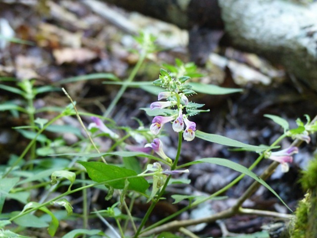 f0357487_1204140.jpg