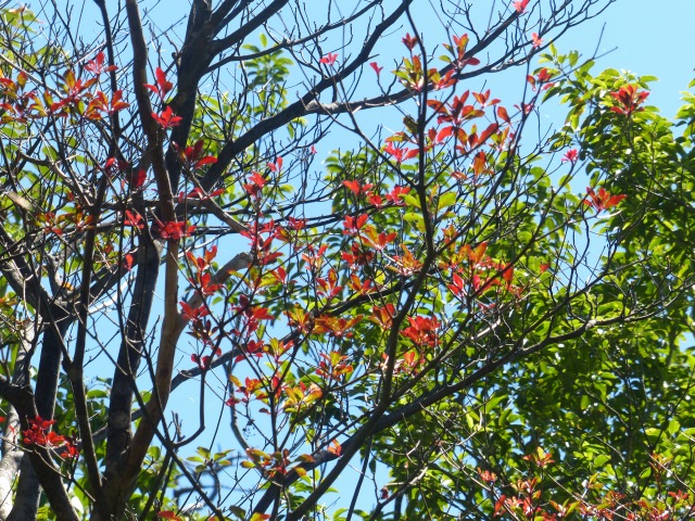 f0357487_1211837.jpg