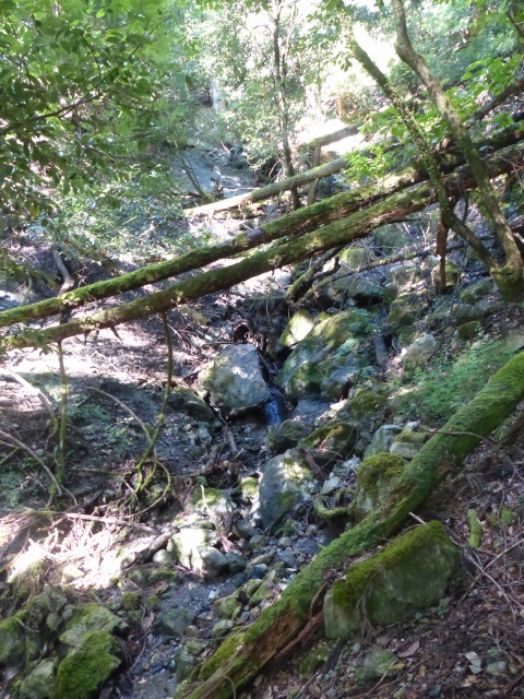 f0357487_152178.jpg