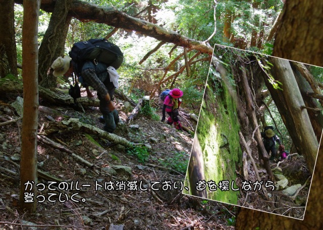 f0357487_2019231.jpg