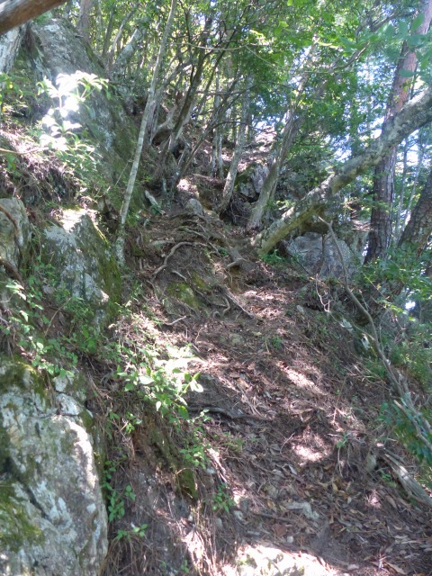 f0357487_5103799.jpg