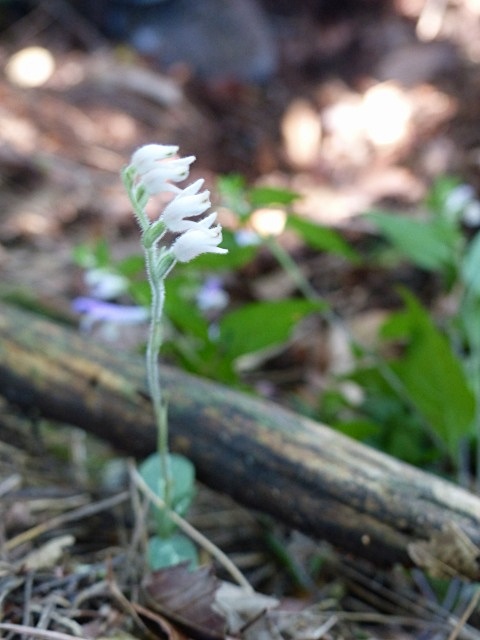 f0357487_512750.jpg