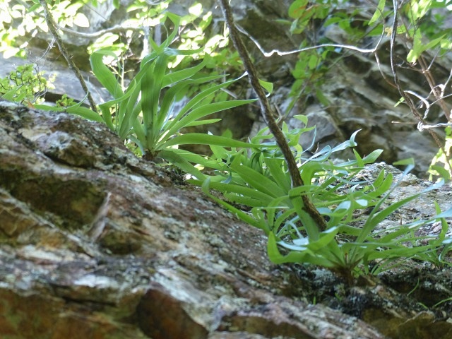 f0357487_5151075.jpg