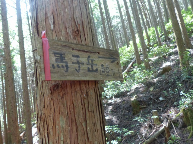 f0357487_5163534.jpg
