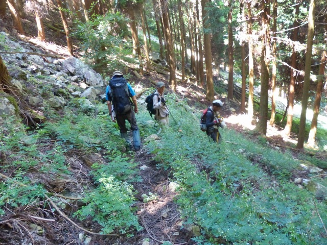 f0357487_519235.jpg