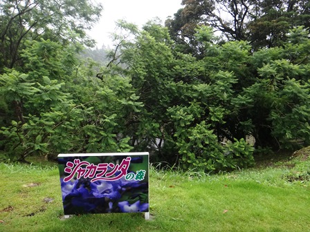 c0018489_1520473.jpg