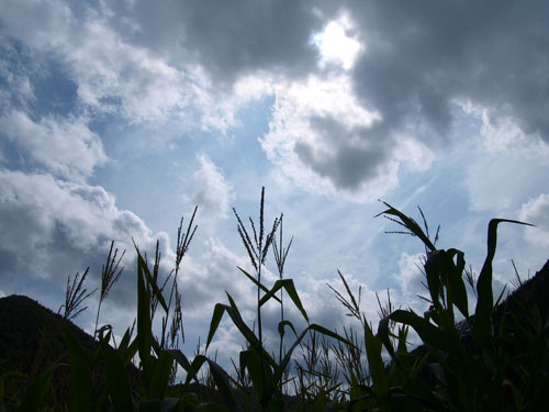 f0236291_1341632.jpg