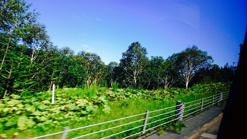 c0202101_433545.jpg