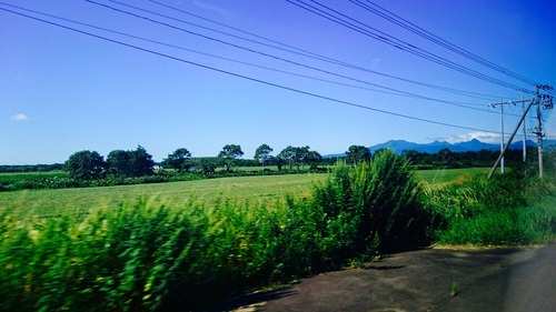 c0202101_433712.jpg