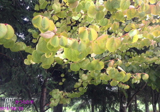a0337807_14310939.jpg