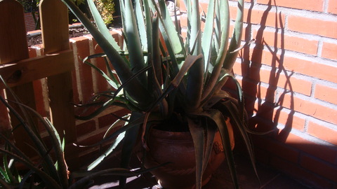 e0255908_16275151.jpg