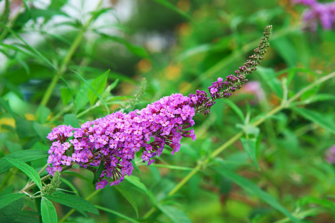 a0263109_21471687.jpg