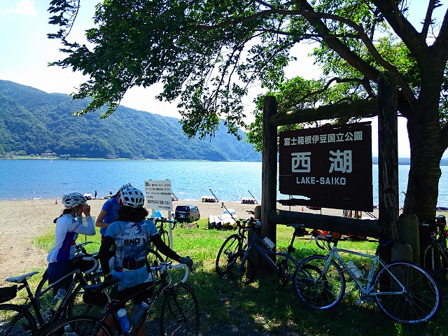 f0100911_2183616.jpg