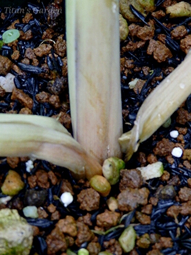 b0099813_093357.jpg
