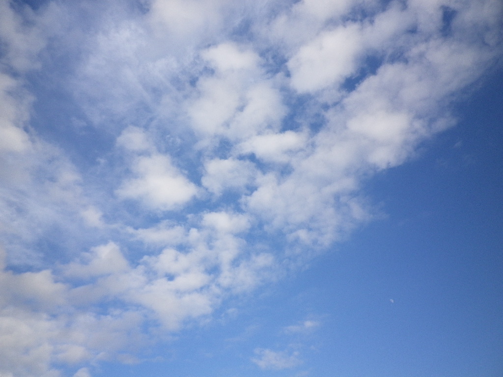 e0052716_1012511.jpg