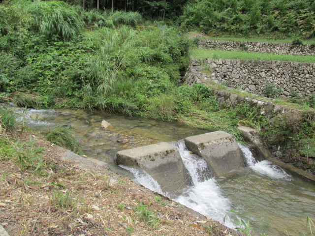 f0341616_17193664.jpg