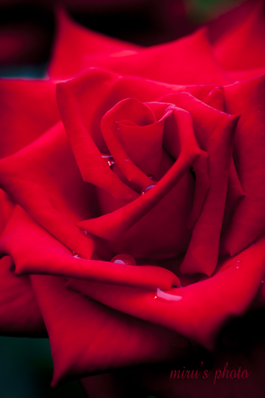 c0037519_22501838.jpg