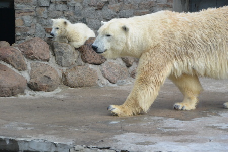 f0344626_00154967.jpg