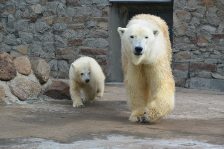 f0344626_00165235.jpg