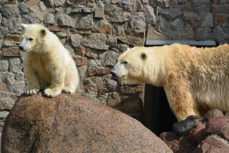 f0344626_00215564.jpg