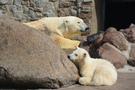 f0344626_00222370.jpg