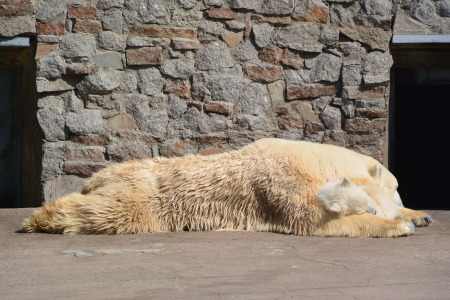 f0344626_00251071.jpg