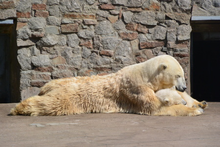 f0344626_00251695.jpg