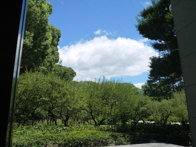 f0231829_23583922.jpg