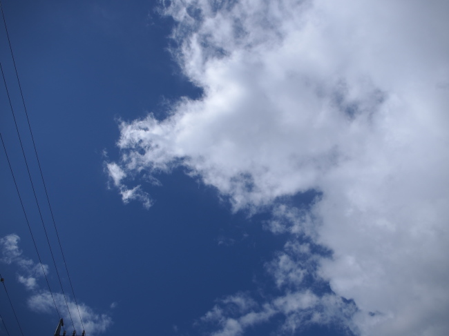 c0117831_16855.jpg