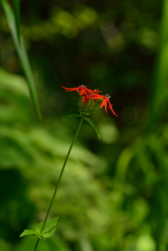 b0236334_751534.jpg
