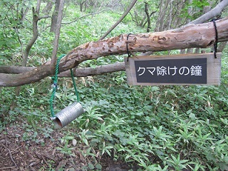 b0310842_16545916.jpg