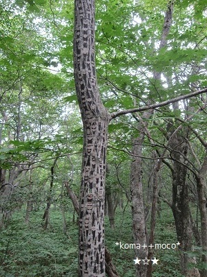 b0310842_16551495.jpg