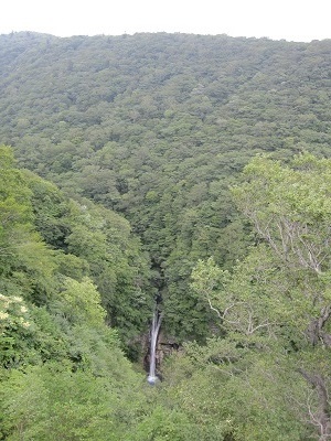 b0310842_16553156.jpg