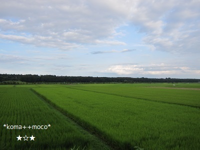 b0310842_16554778.jpg