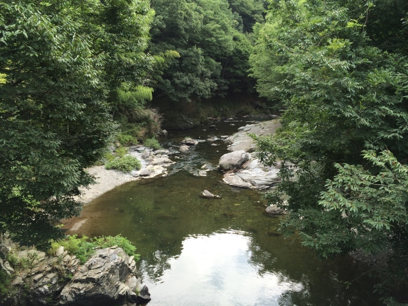 d0336342_21450936.jpg