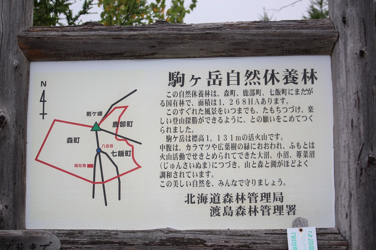 b0250154_06232210.jpg