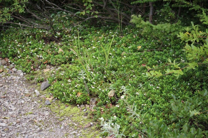 b0250154_06244595.jpg
