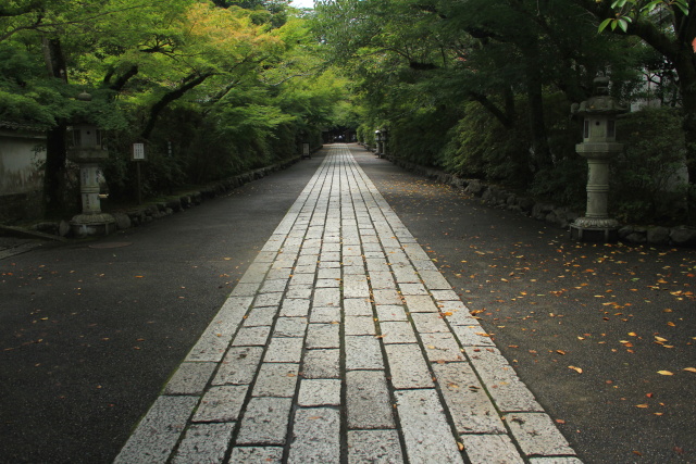 b0055171_1642894.jpg