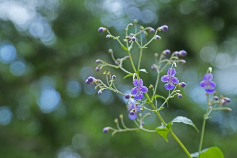 f0000789_8564124.jpg
