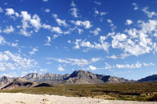 f0245389_17504518.jpg