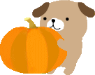 f0353990_09315141.gif