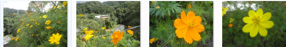 f0231709_19152328.gif
