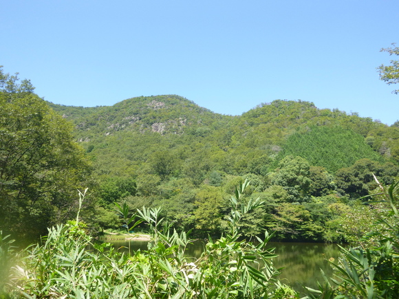 d0170615_1922480.jpg